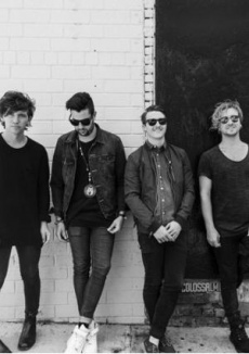 The Griswolds