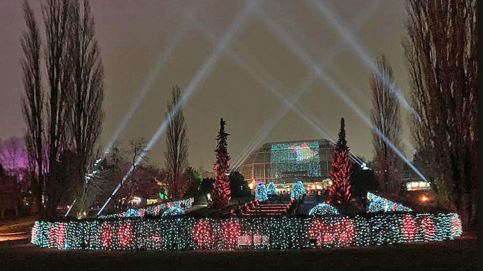 Es werde Licht! Ein weihnachtlicher Ausflug in die Welt der Christmas Garden 🎄
