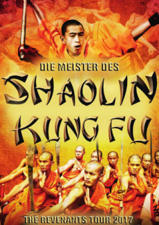 Die Meister des Shaolin Kung Fu