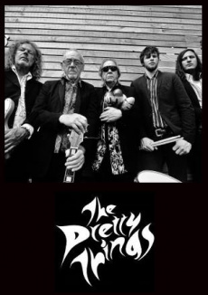 The Pretty Things