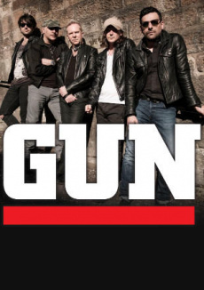 Gun