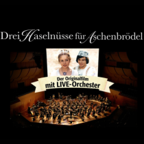 Drei Haselnüsse für Aschenbrödel - 21.12.2026, 19:30 Uhr